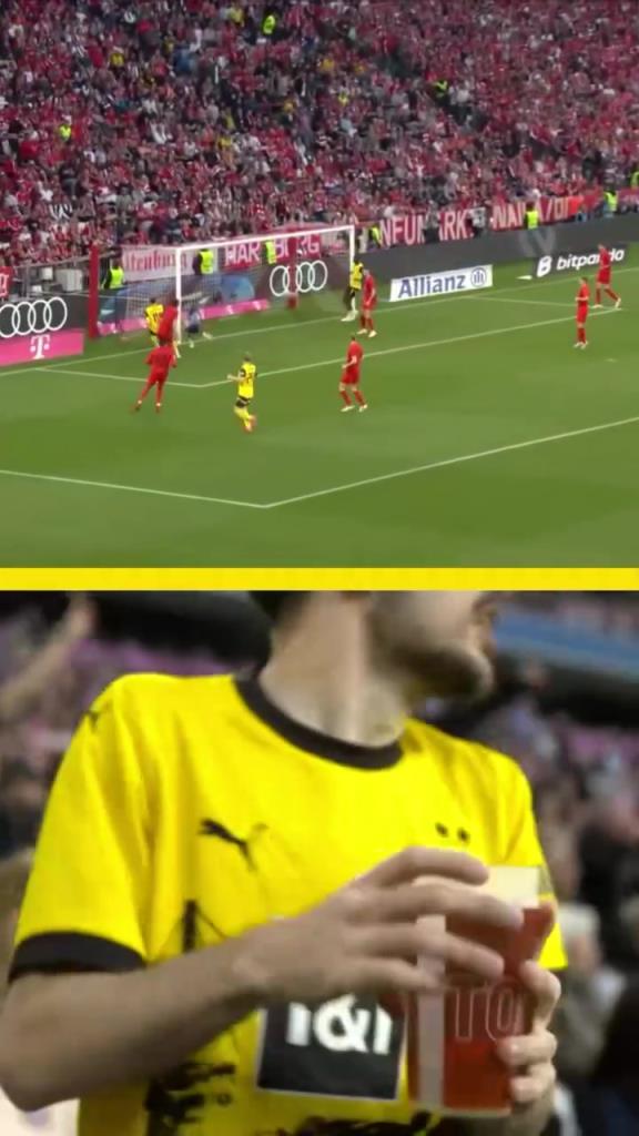 勇者無(wú)懼！這是真多特球迷！在拜仁球迷區(qū)一個(gè)人肆意慶祝！